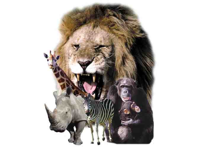 1 Ticket to Lion Country Safari/ Safari World Amusement Park - Photo 1
