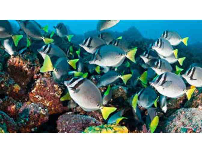 4 Tickets to KEY LARGO PRINCESS