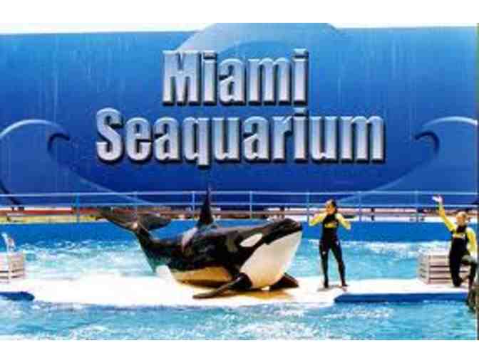 4 Admission Tickets to Miami Seaquarium - Photo 1