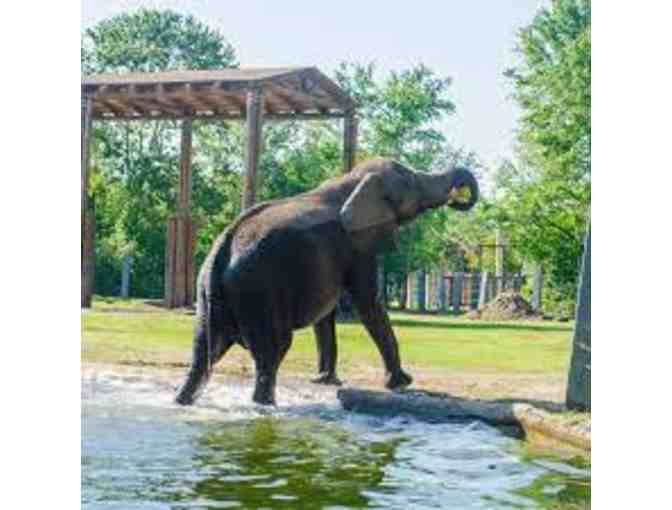 4 Tickets to the Jacksonville Zoo and Gardens