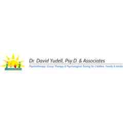 Dr David Yudell