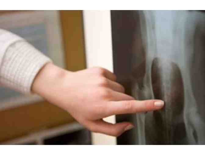 Shadow a Vet - Forest Heights