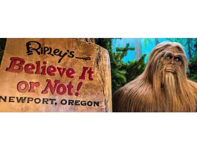 Mariner Square in Newport - Two Passes  to Three Attractions