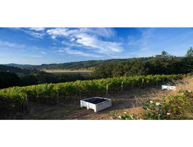 Beaux Freres - VIP Tour and Tasting for Four