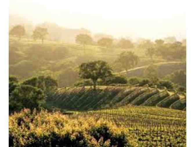 Ponzi Vineyards - A Progressive Tour & Wine Tasting for Four