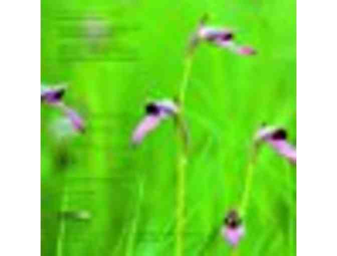 A Table in the Tarn: Cookbook by Orlando Murrin