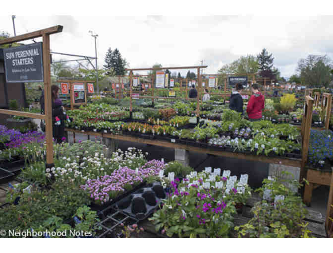 Portland Nursery - $30 Gift Card