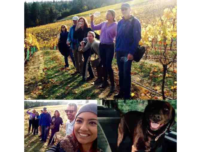 Phelps Creek Vineyard Tour, Tasting and More Wine