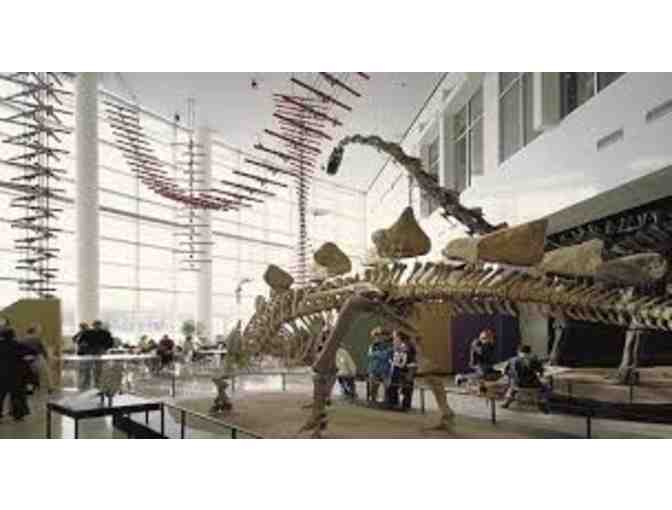 6 Admissions to General Exhibits to the Science Museum
