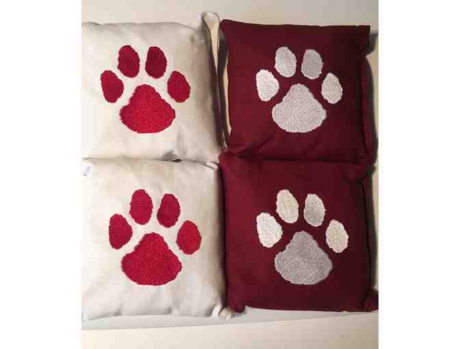 Help Buy a Custom Agassiz Bags Set for the School!