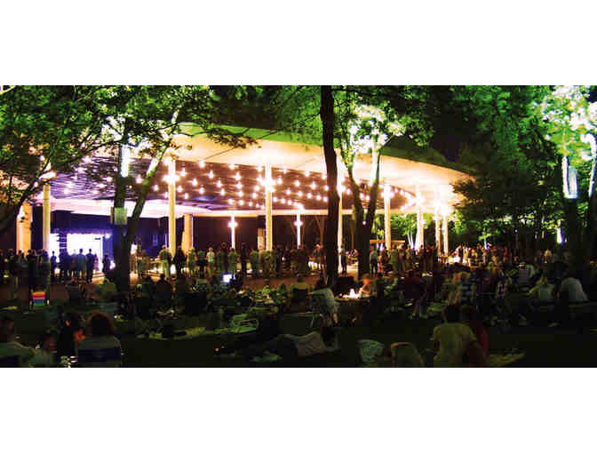 Ravinia - Four tickets for any Classical Lawn Concert