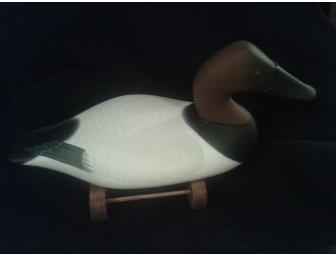 Canvasback Drake Decoy