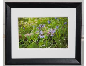 (4) Ken Kashian 11 x 14 Framed Prints