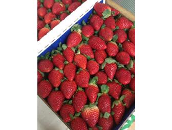 One Flat of Fresh Florida Strawberries and Cookbook