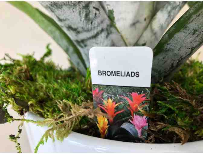 Create beauty in your home.