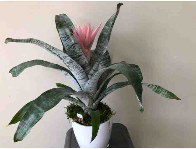 Create beauty in your home.