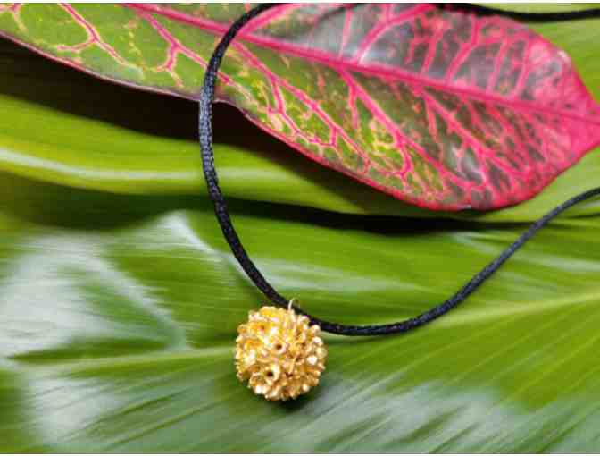 Rudraksha From Tree At Lawai Center Pendant, Gilded in 24k Gold by Aaron Uyeda