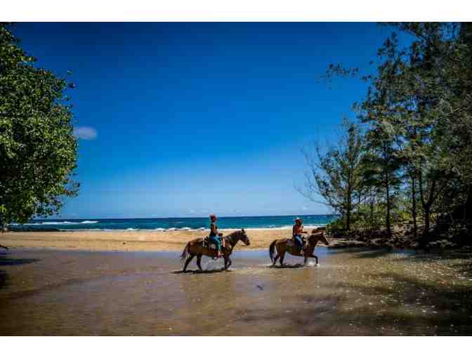 CJM Country Stables - Beach Ride for Two