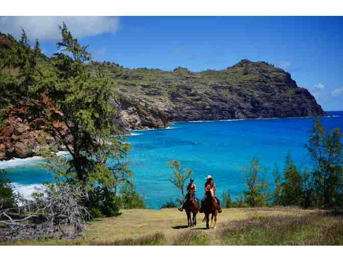 CJM Country Stables - Beach Ride for Two