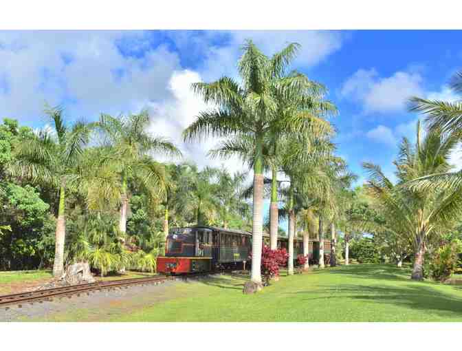 Kauai Plantation Railway for Four