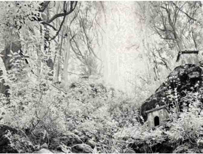 Infrared Photo 'Contemplative Path' by Chris Wayland