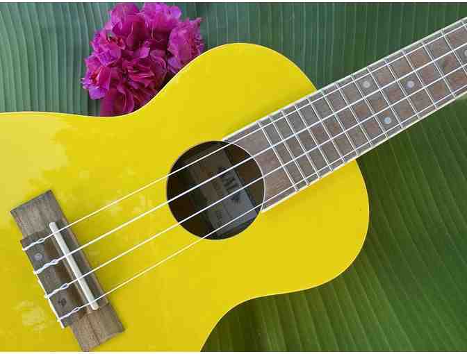 Hanalei Strings - Ukulele, T-Shirt & Bag