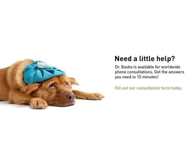 Holistic Pet Exam & Consultation with Dr. Ihor Basko, DVM – Kauaʻi