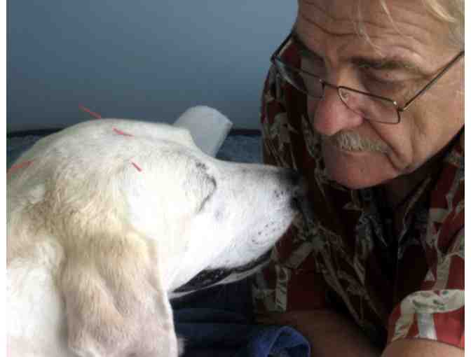 Holistic Pet Exam & Consultation with Dr. Ihor Basko, DVM – Kauaʻi