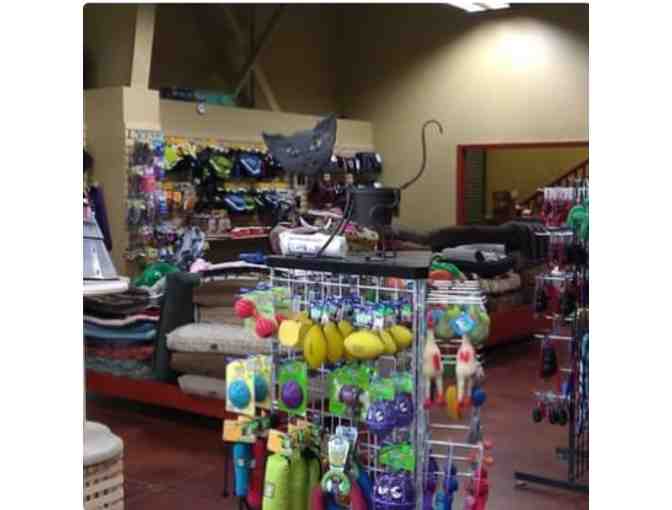 Natural Pet Hawaii 2 - (1) One $100 Gift Certificate