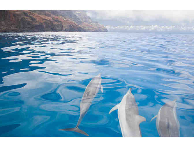 Napali Catamaran Tour for 2 from Hanalei Bay, Kauai