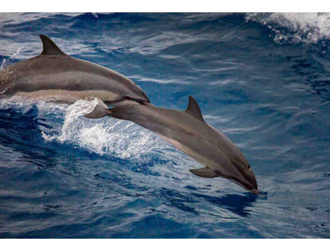 Napali Catamaran Tour for 2 from Hanalei Bay, Kauai