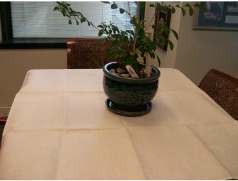 Candlelight Beauti-Damask tablecloth and napkin set