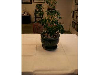 Candlelight Beauti-Damask tablecloth and napkin set