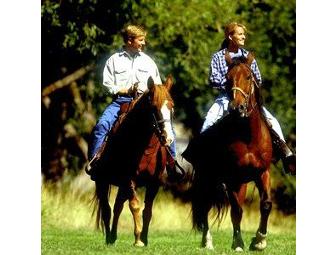 The Homestead Resort