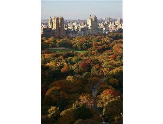 The Sherry Netherland Hotel