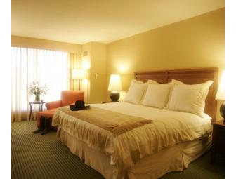 Horseshoe Bay Resort