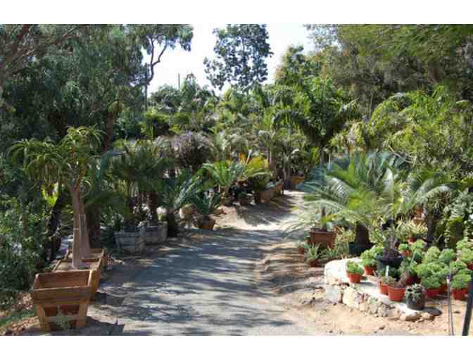 Horticulture Nursery Adventure in San Diego County
