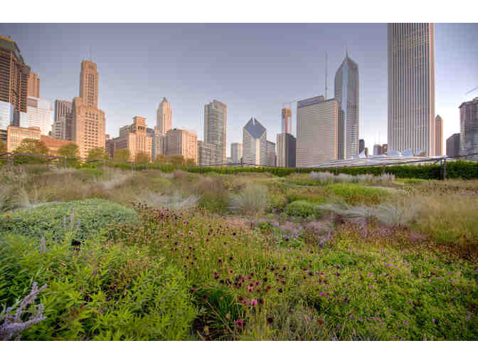 Urbs in Horto - Chicago Tour Package