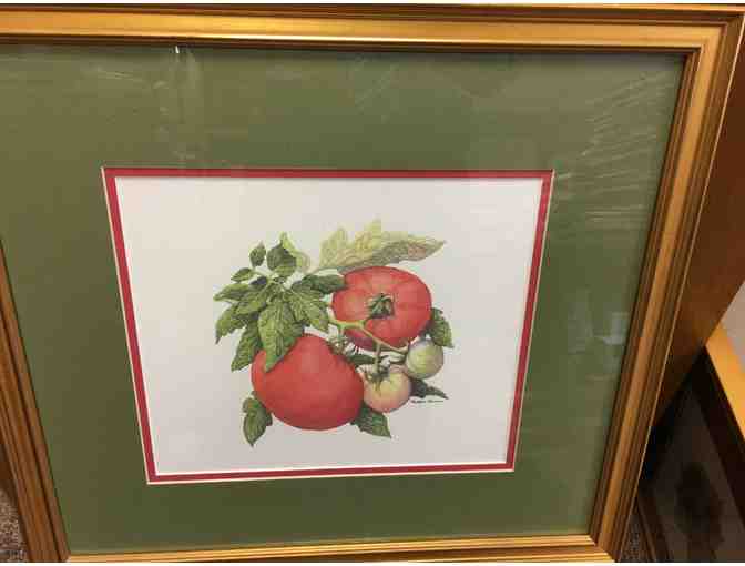 Framed Print from the Ball Horticultural Company