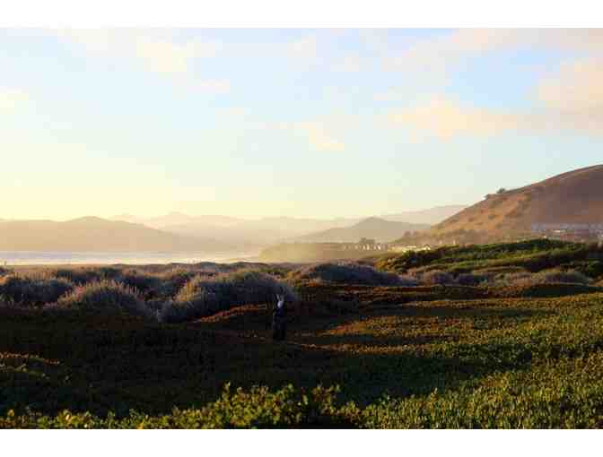 Visit Morro Bay, California - The Jewel of California's Central Coast