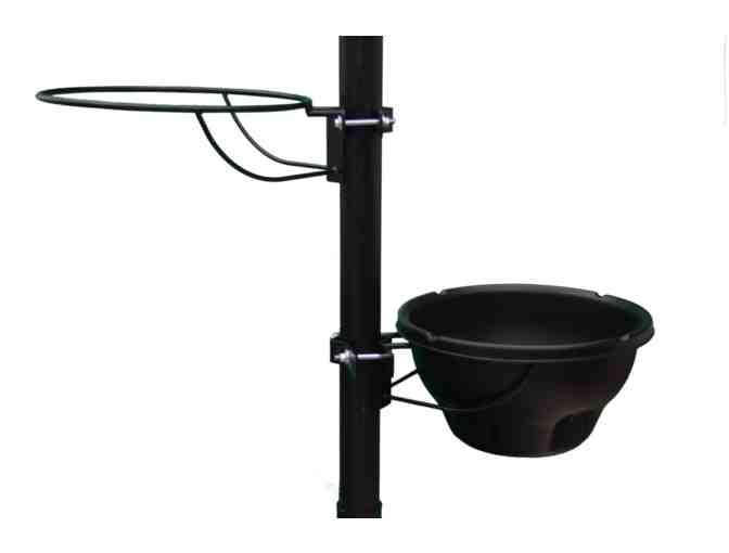 Four Self Watering Municipal Hanging Baskets from Eckert's - Photo 1