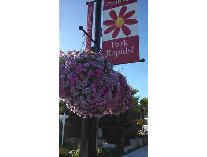 Four Self Watering Municipal Hanging Baskets from Eckert's