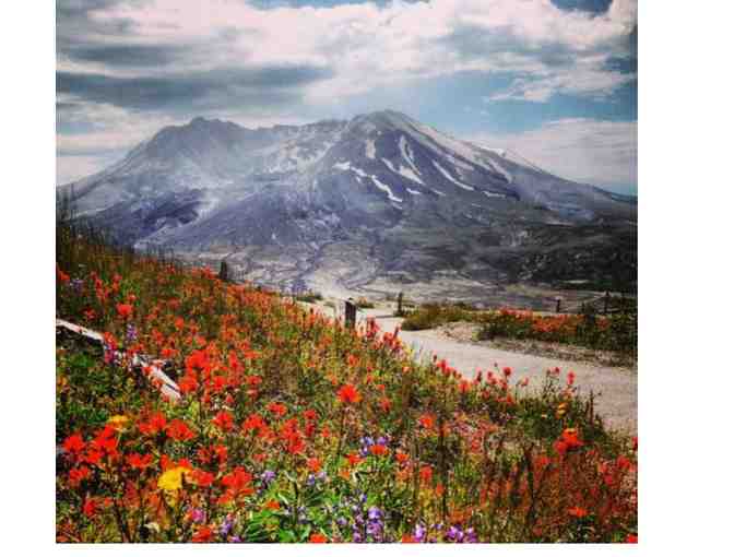 Experience Mt. St. Helen's Volcano and Castle Rock, Washington