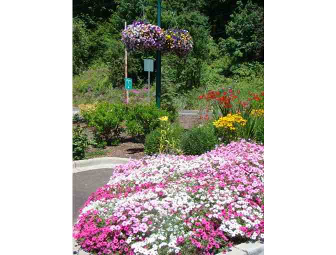 Experience Mt. St. Helen's Volcano and Castle Rock, Washington