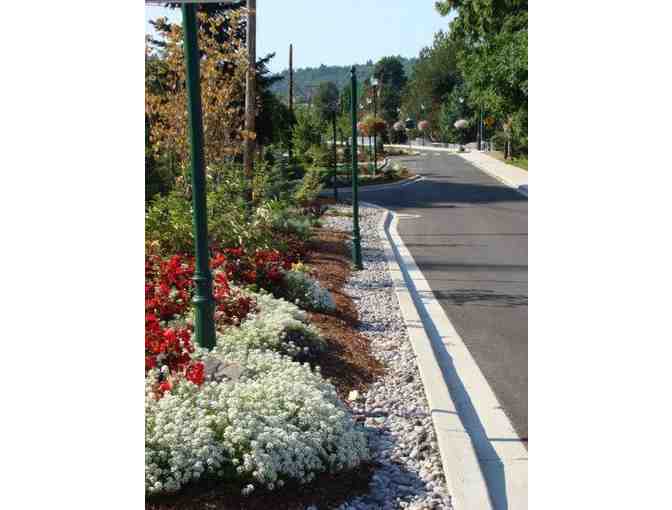 Experience Mt. St. Helen's Volcano and Castle Rock, Washington