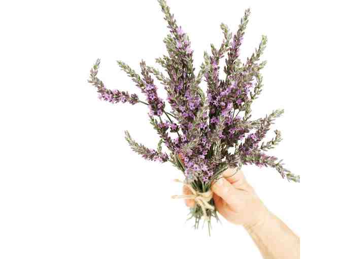 Plant a Beautiful and Fragrant Lavender Garden - Photo 5