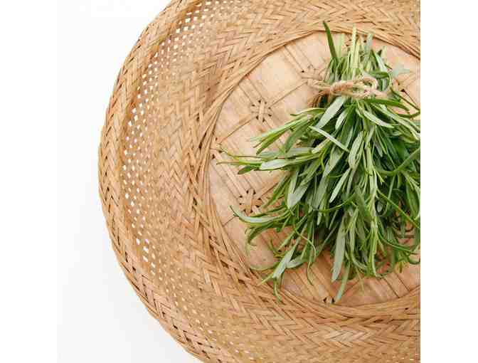 Plant a Gorgeous Herb Garden