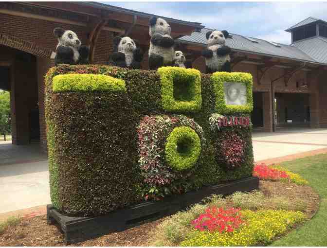 Getaway for Two to Greenwood, South Carolina and the South Carolina Festival of Flowers - Photo 3