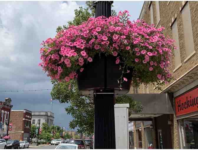 Two Wrap-Around Self Watering Municipal Hanging Baskets from Eckert's