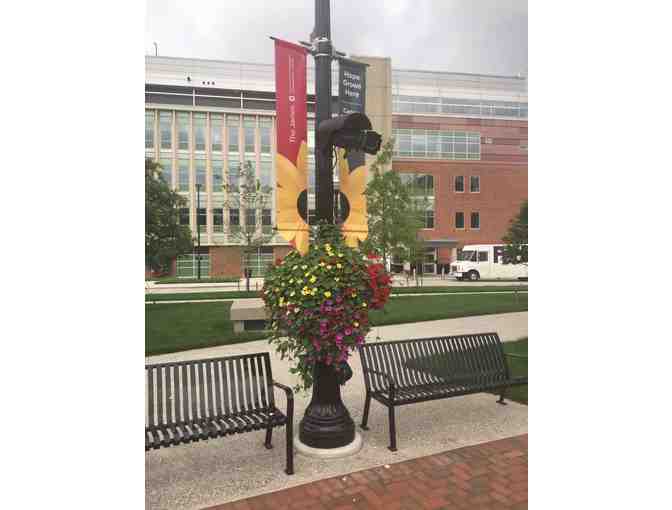 Two Wrap-Around Self Watering Municipal Hanging Baskets from Eckert's